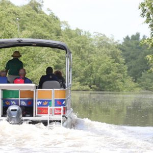 Paseadoras y Botes de Pedales